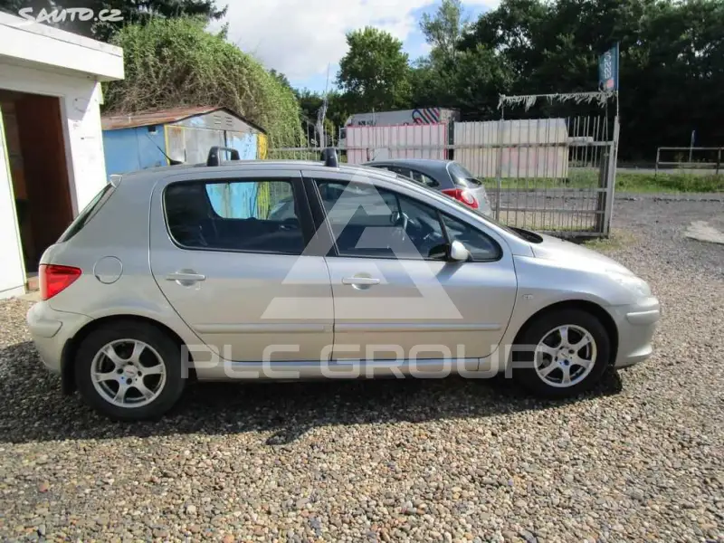 2007 Peugeot 307