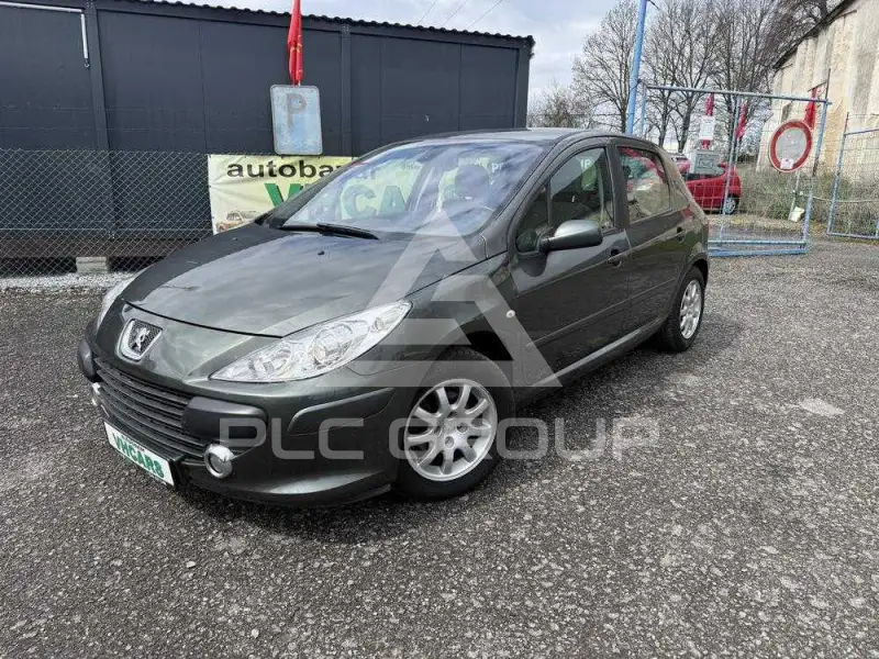 2007 Peugeot 307