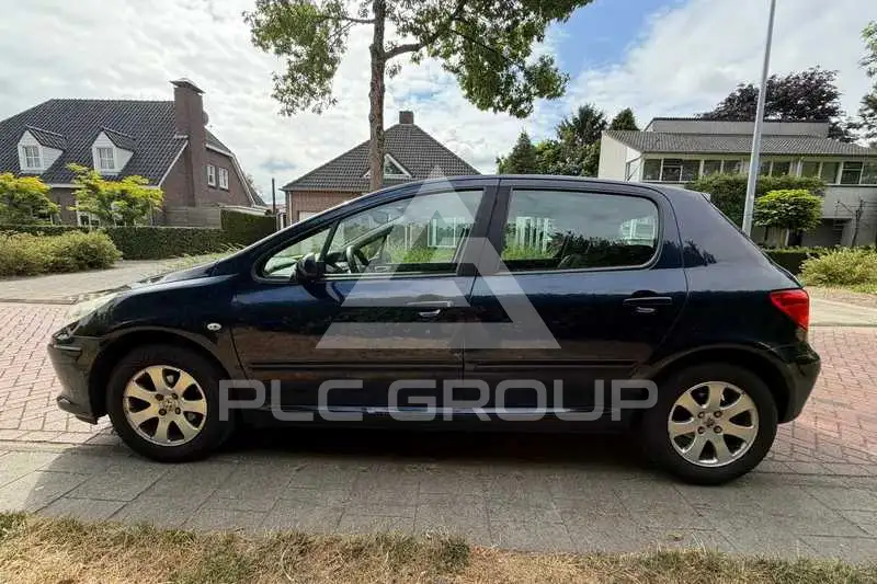 2007 Peugeot 307