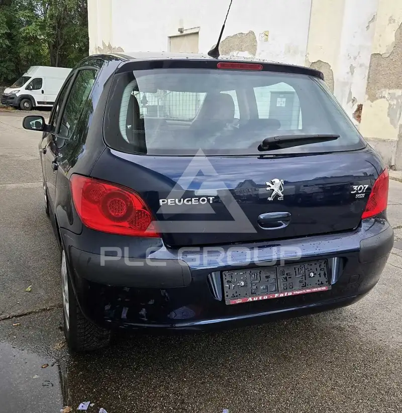 2007 Peugeot 307