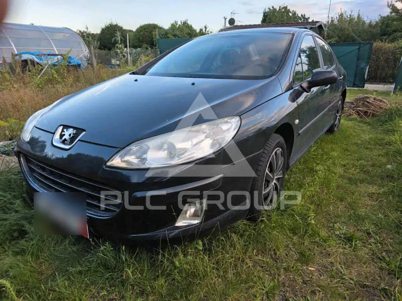 2007 Peugeot 407