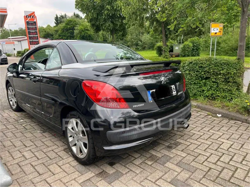 2007 Peugeot 207