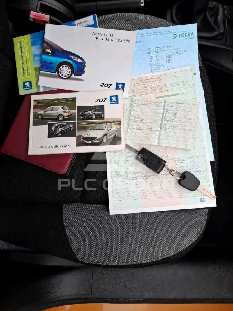 2007 Peugeot 207