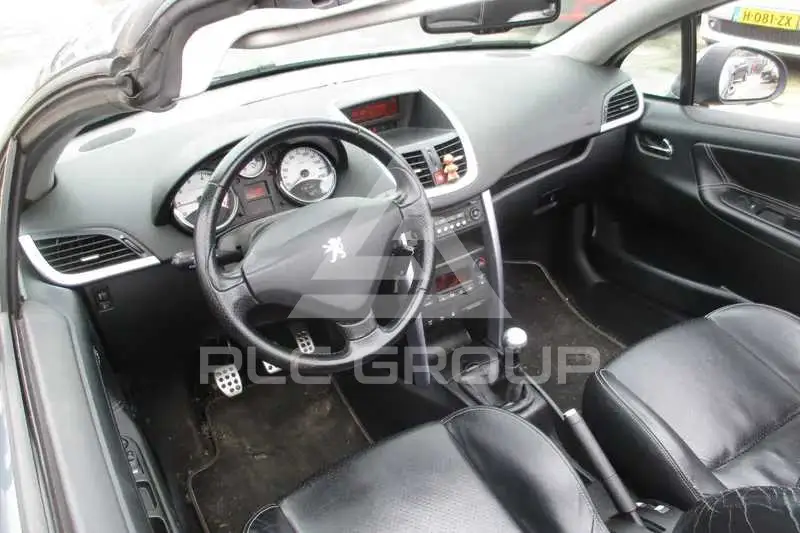 2007 Peugeot 207