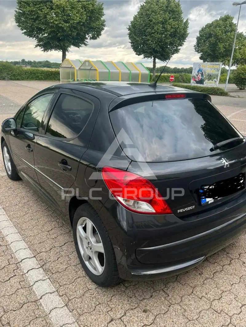 2007 Peugeot 207