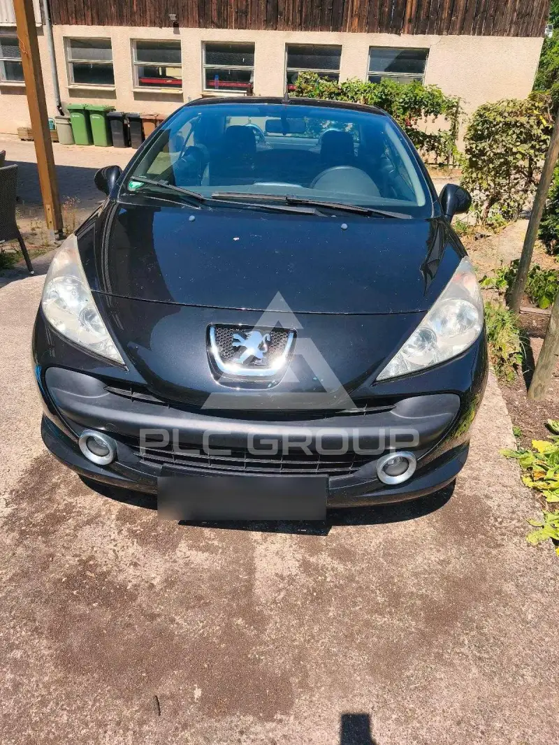 2007 Peugeot 207