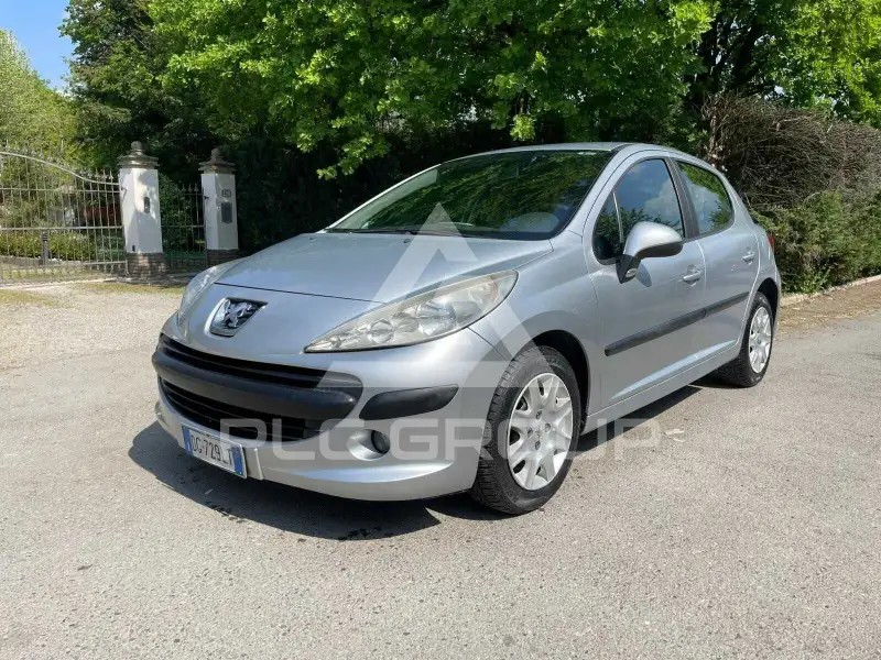 2007 Peugeot 207