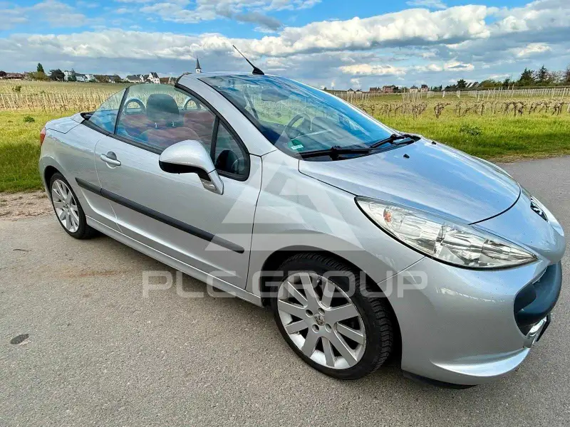 2007 Peugeot 207