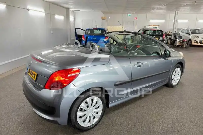2007 Peugeot 207