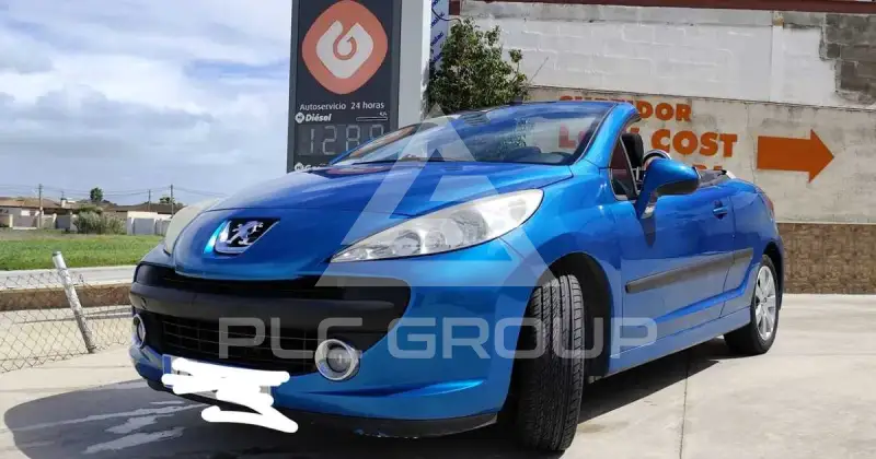 2007 Peugeot 207