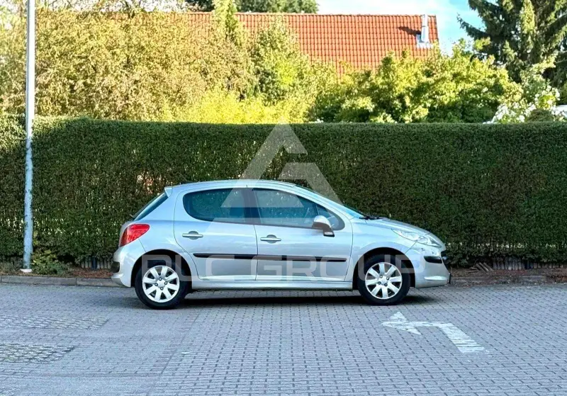 2007 Peugeot 207