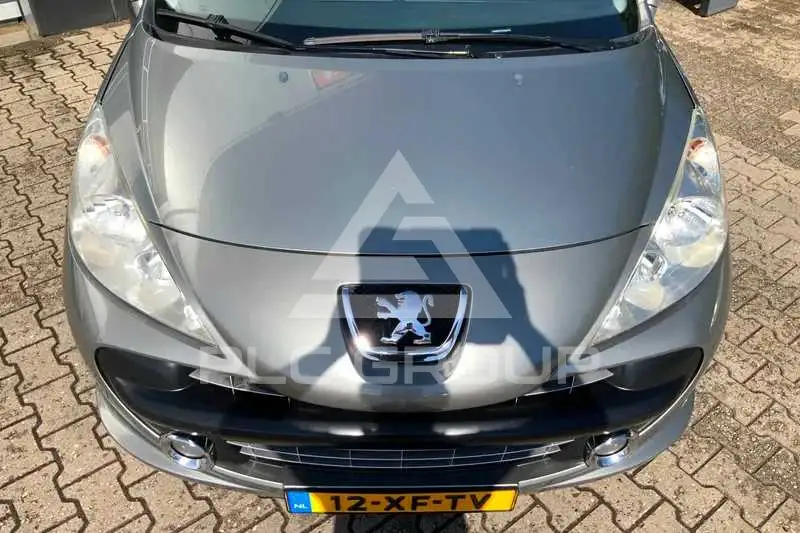 2007 Peugeot 207