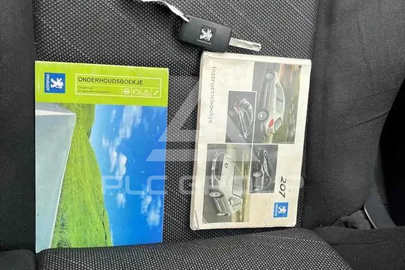2007 Peugeot 207