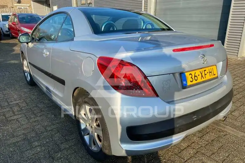 2007 Peugeot 207