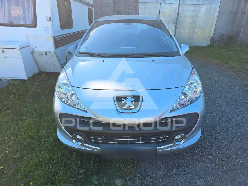 2007 Peugeot 207