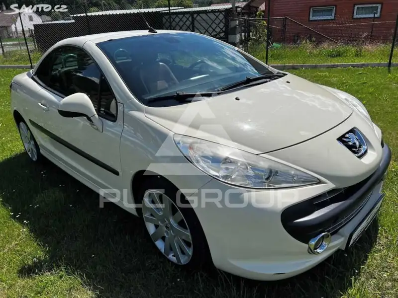 2007 Peugeot 207