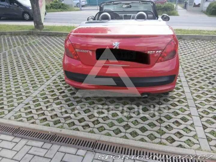 2007 Peugeot 207