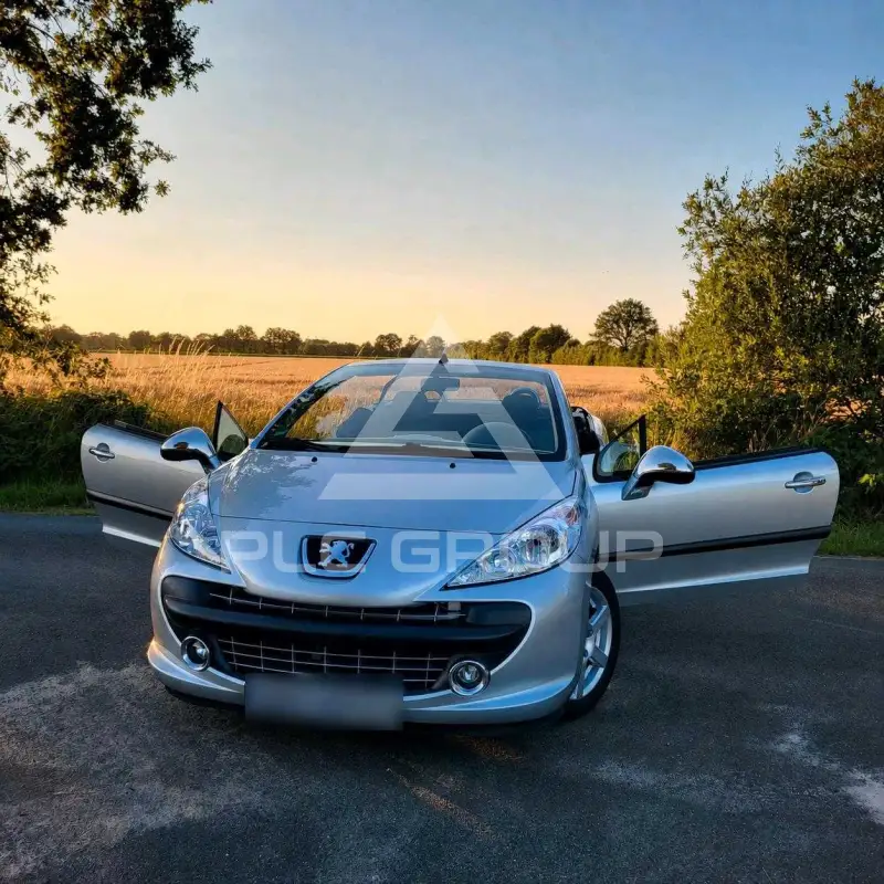 2007 Peugeot 207