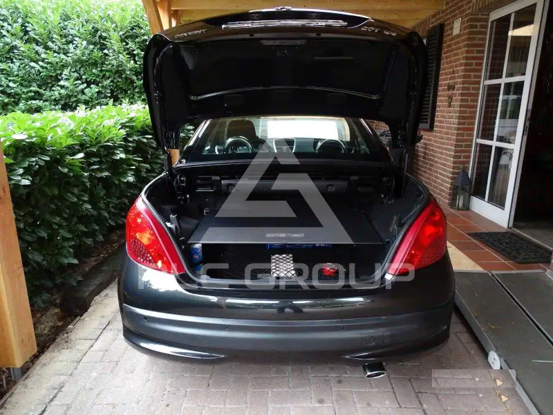 2007 Peugeot 207