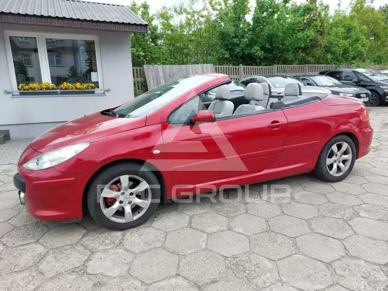2007 Peugeot 307