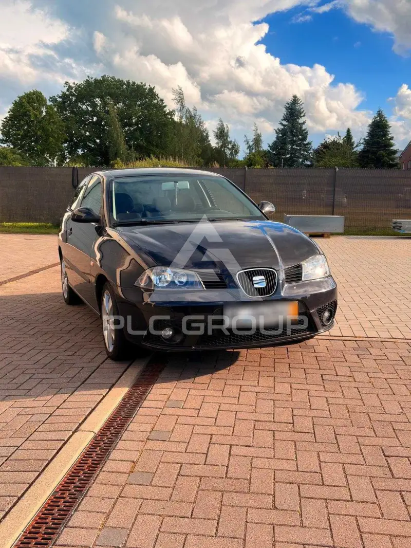 2007 Seat Ibiza