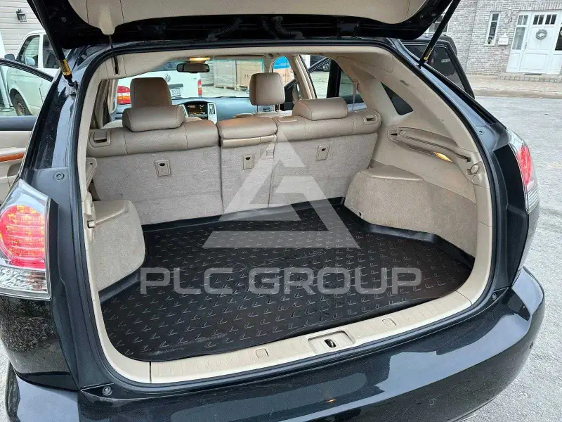 2008 Lexus RX