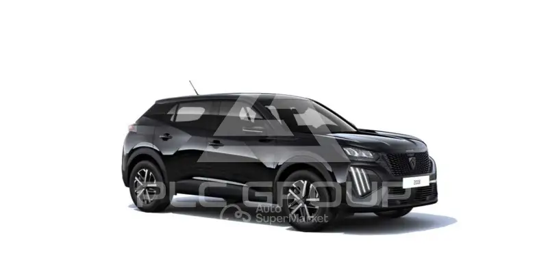 2008 Peugeot 2008