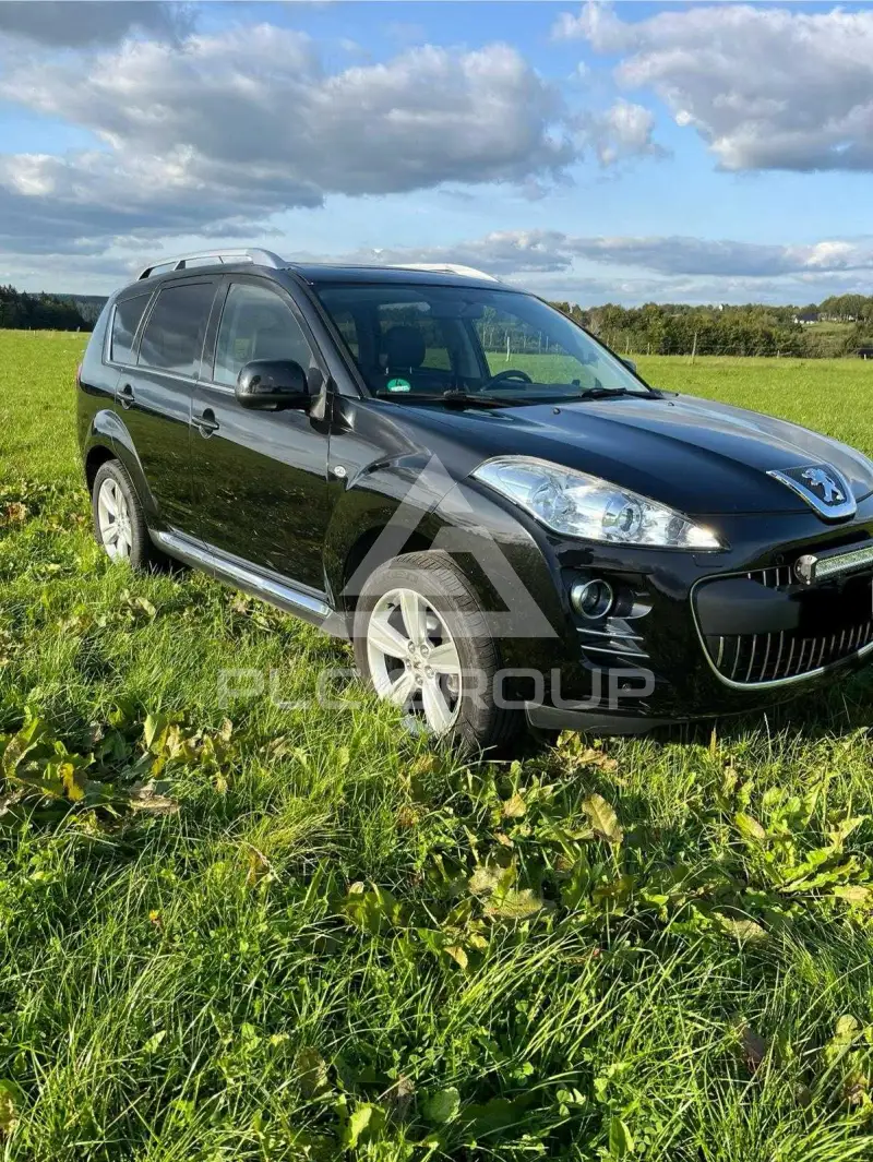 2008 Peugeot 4007