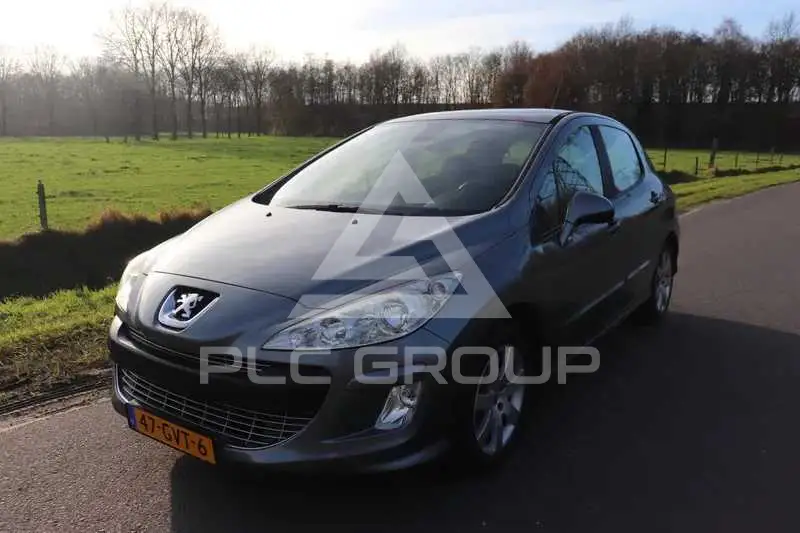 2008 Peugeot 308