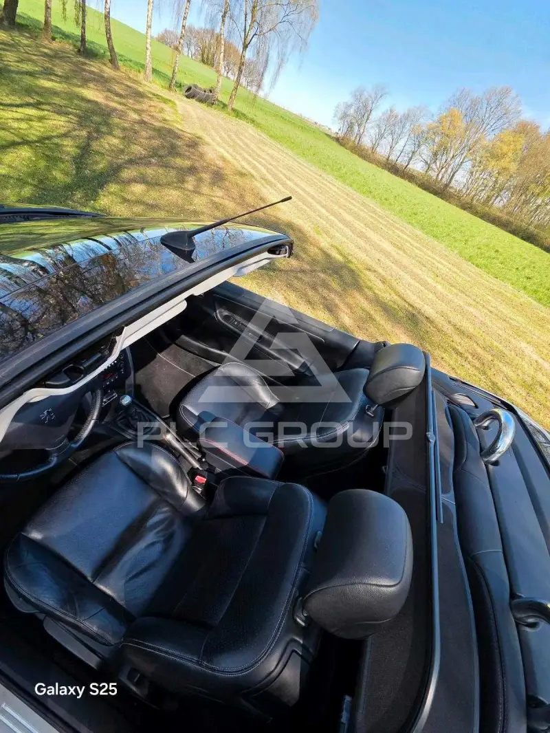 2008 Peugeot 207