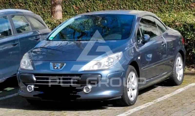 2008 Peugeot 307