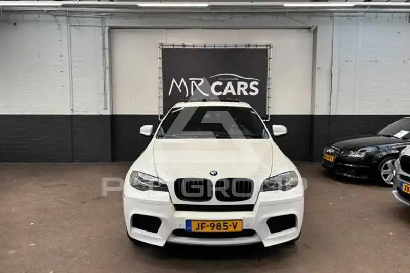 2009 BMW X6