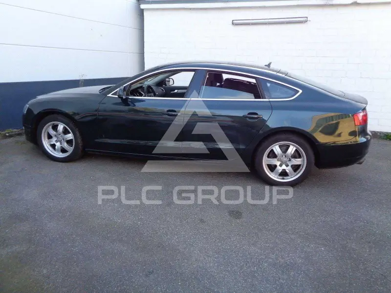 2009 Audi A5