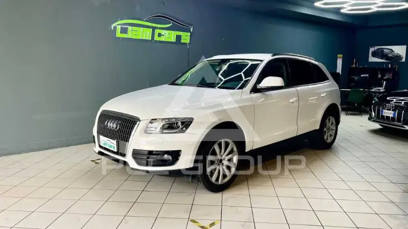 2009 Audi Q5