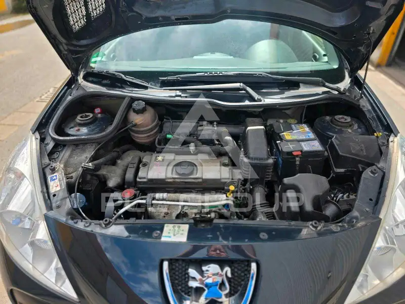 2009 Peugeot 206