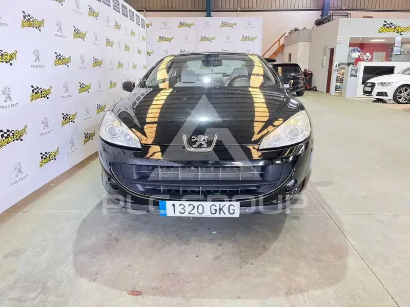2009 Peugeot 407
