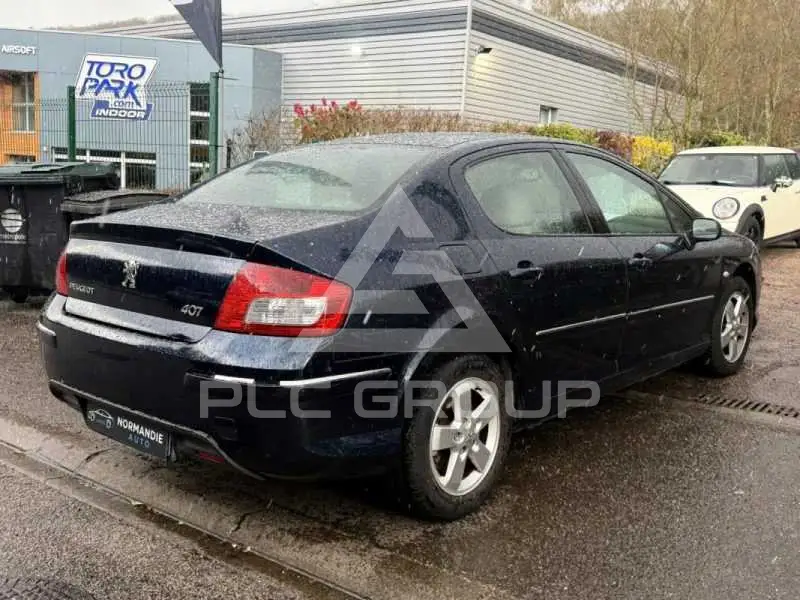 2009 Peugeot 407
