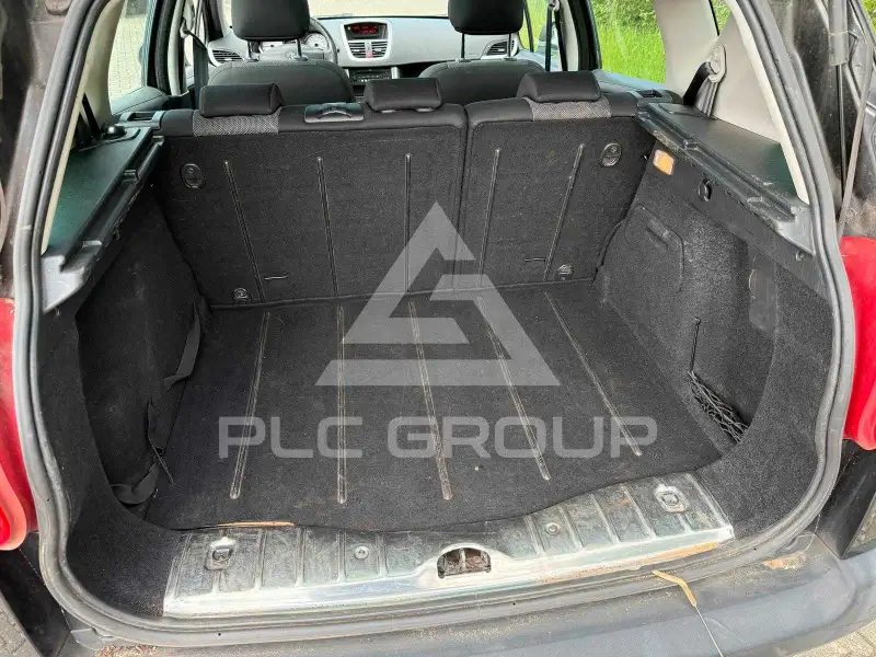 2009 Peugeot 207