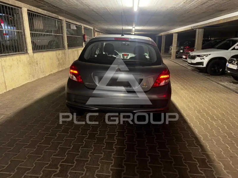 2009 Peugeot 207