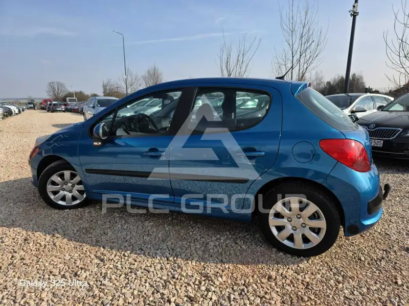 2009 Peugeot 207