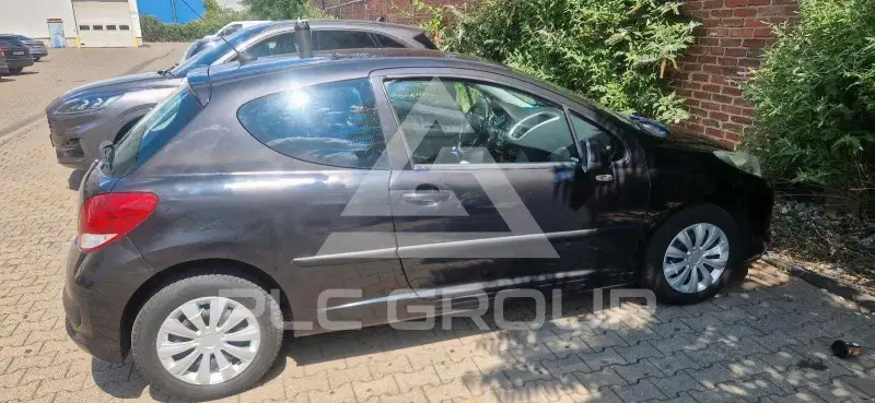 2009 Peugeot 207