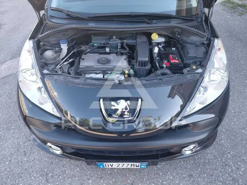 2009 Peugeot 207