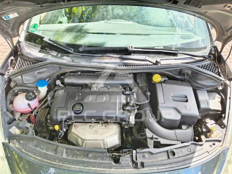 2009 Peugeot 207