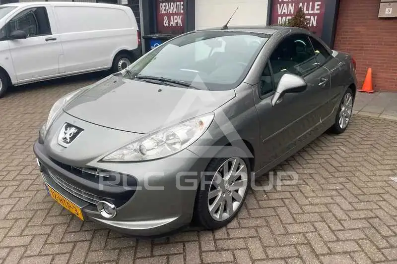 2009 Peugeot 207