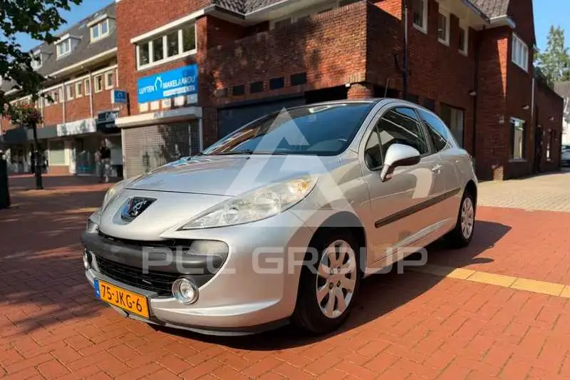 2009 Peugeot 207