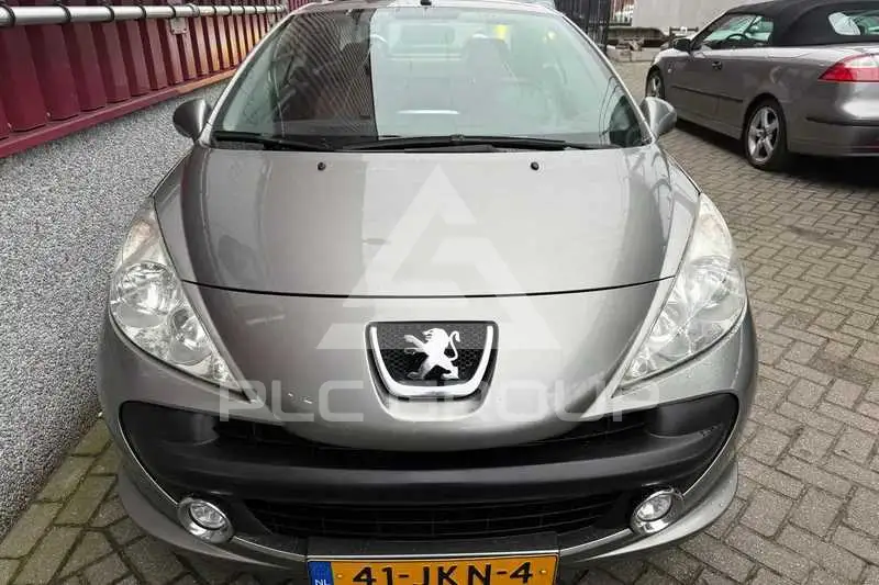 2009 Peugeot 207