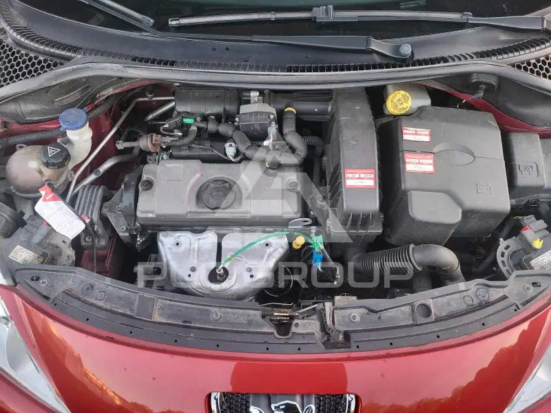 2009 Peugeot 207