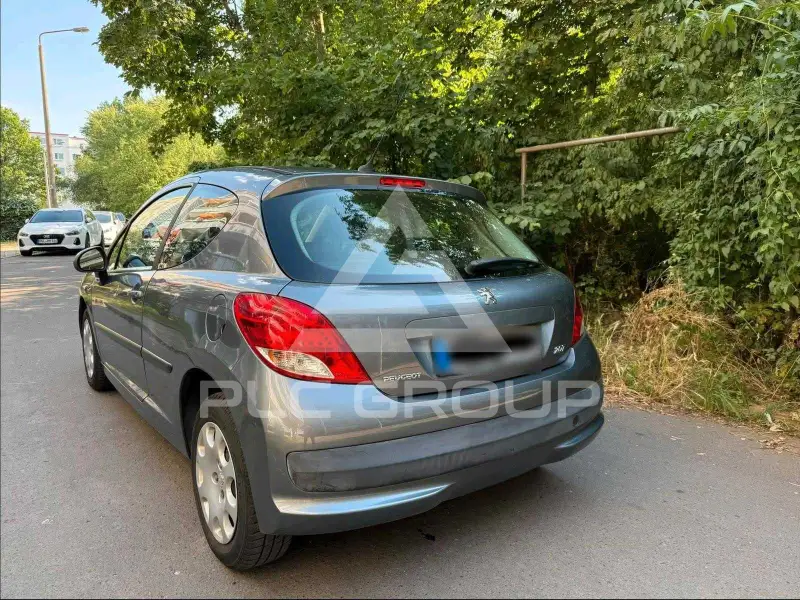 2009 Peugeot 207
