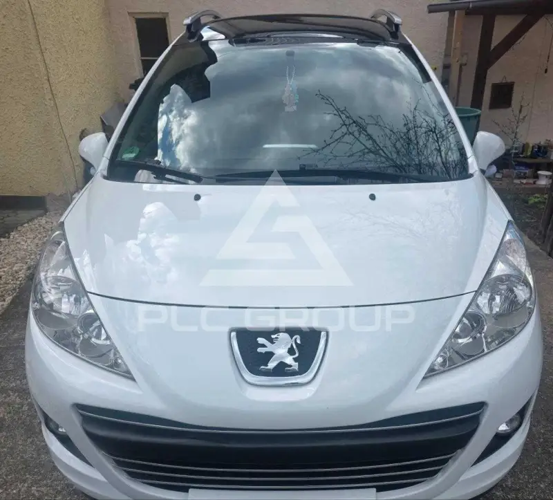 2009 Peugeot 207