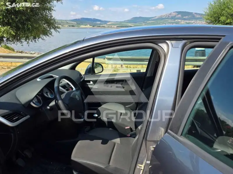 2009 Peugeot 207